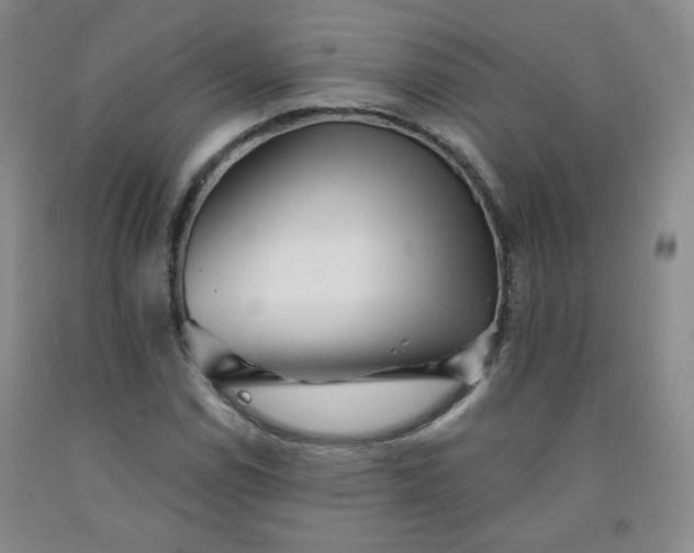 X0000091951114200709201317