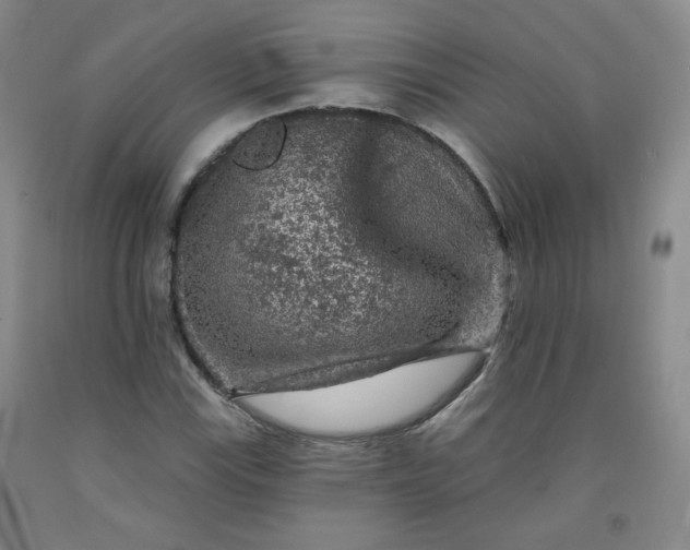 X0000091951115200709201317