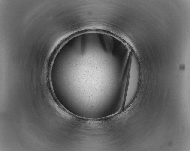 X0000091951116200709201317