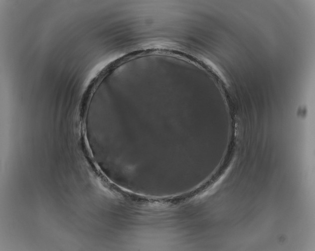 X0000091951117200709201317