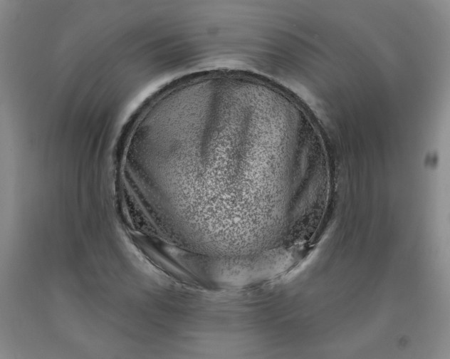 X0000091951118200709201317