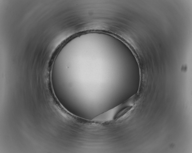 X0000091951119200709201317