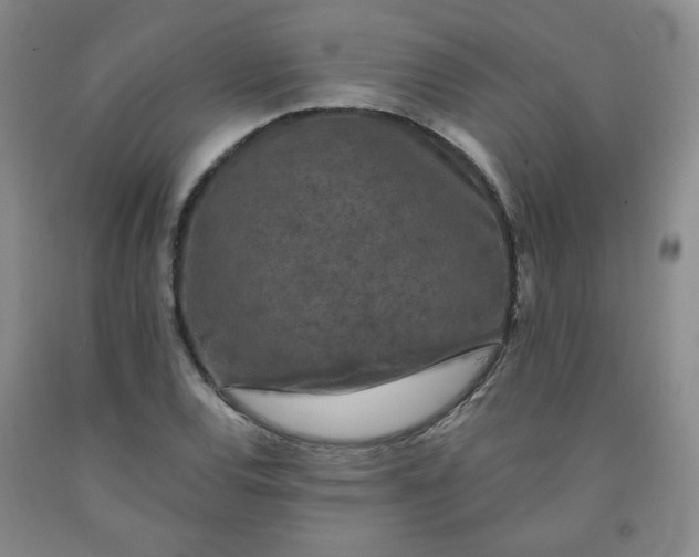 X0000091951120200709201317