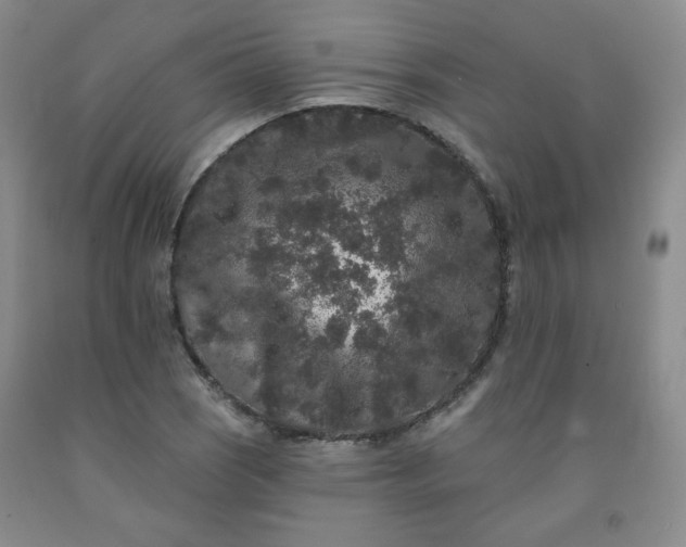 X0000091951121200709201317