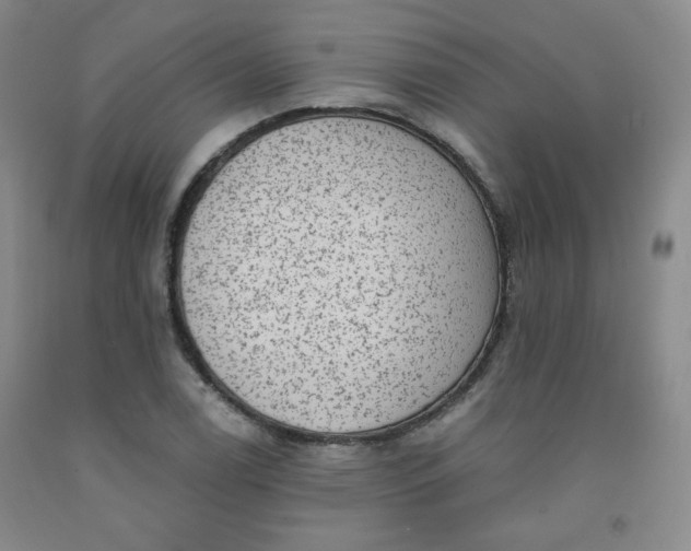 X0000091951122200709201317