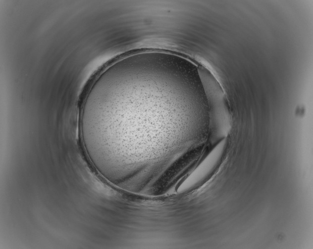 X0000091951123200709201317