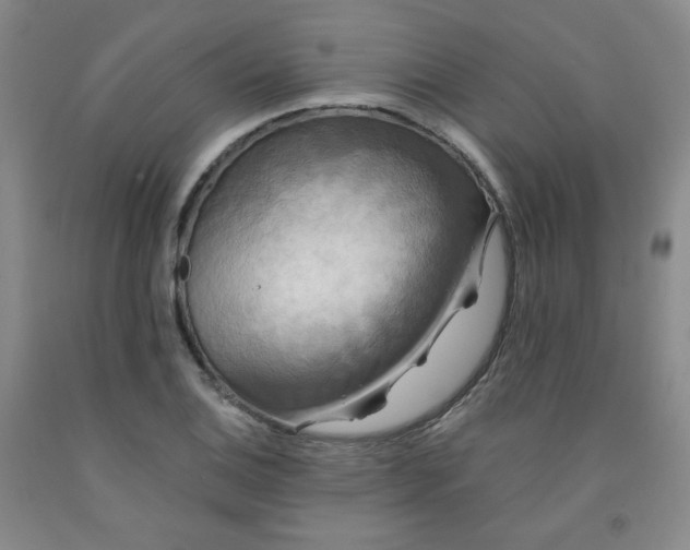 X0000091951124200709201317