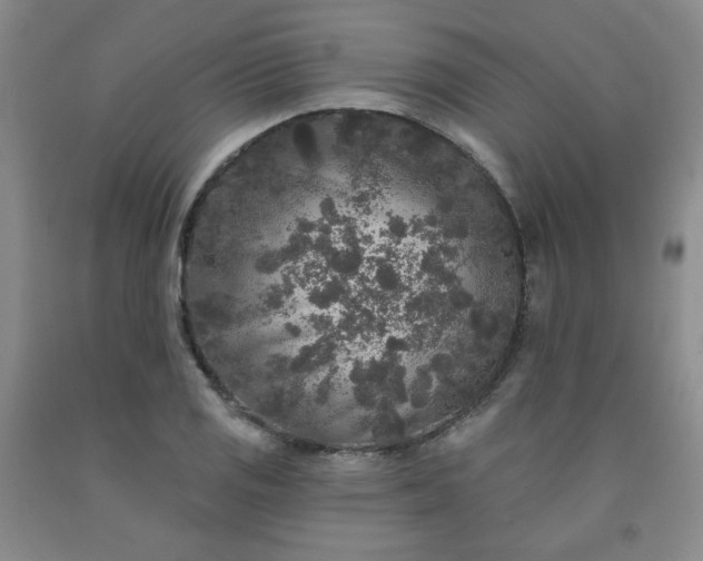 X0000091951125200709201317