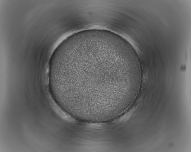 X0000091951126200709201317