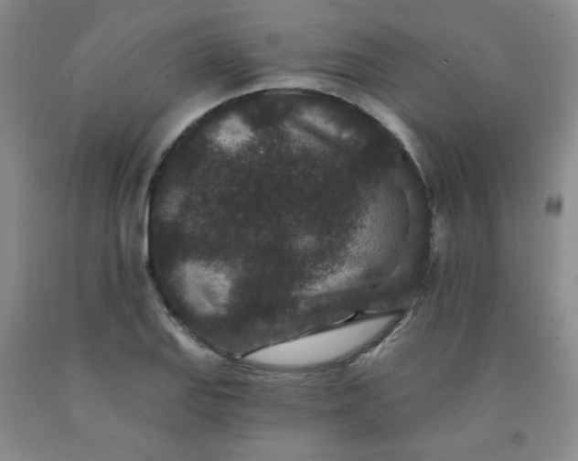 X0000091951127200709201317