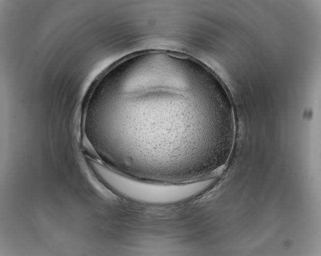 X0000091951128200709201317