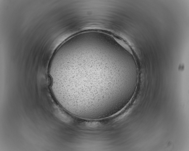 X0000091951129200709201317