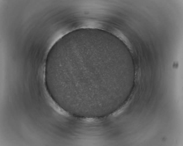 X0000091951130200709201317