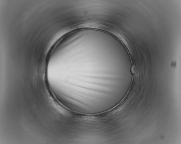 X0000091951131200709201317