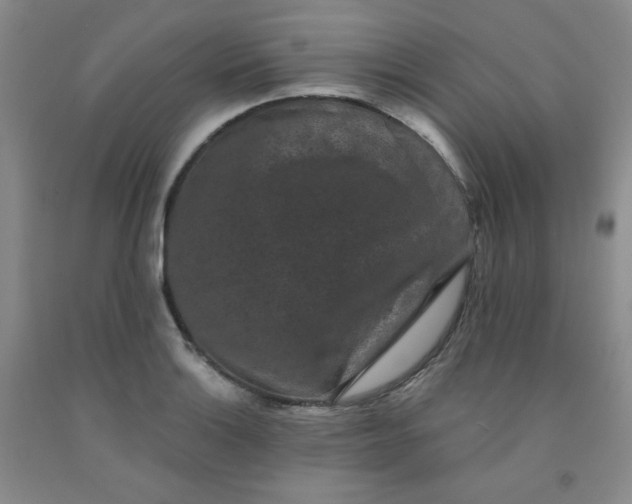 X0000091951132200709201317