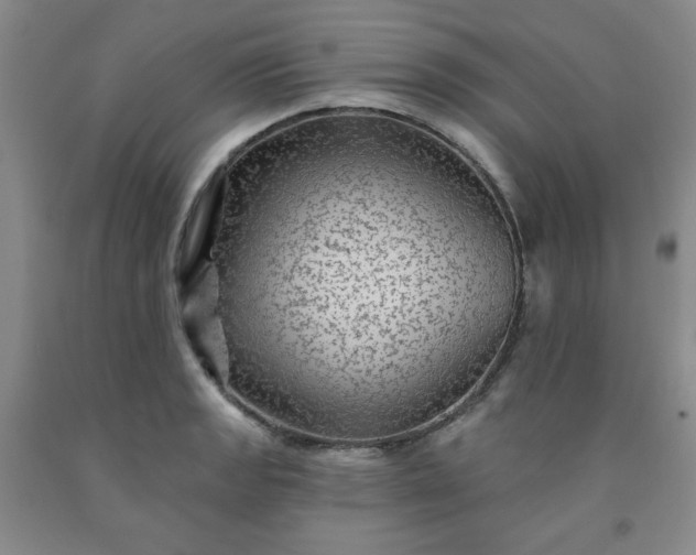 X0000091951133200709201317