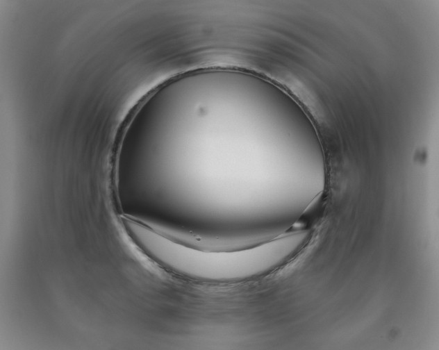 X0000091951134200709201317