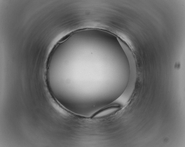 X0000091951136200709201317