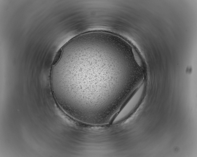 X0000091951137200709201317