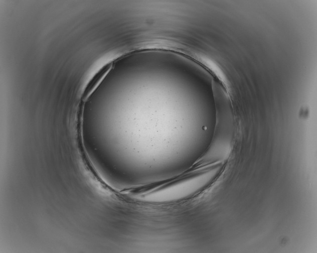 X0000091951138200709201317