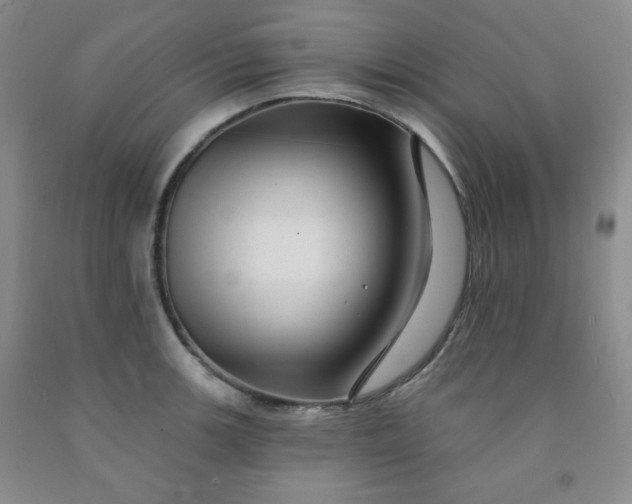 X0000091951139200709201317