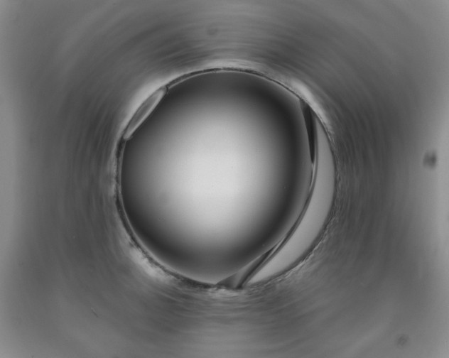 X0000091951140200709201317