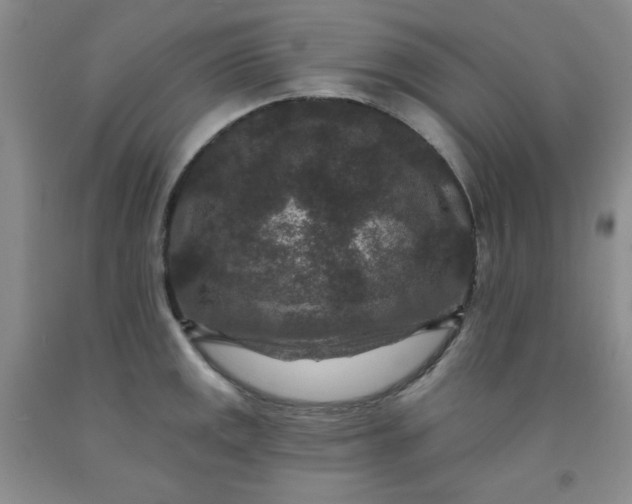 X0000091951141200709201317