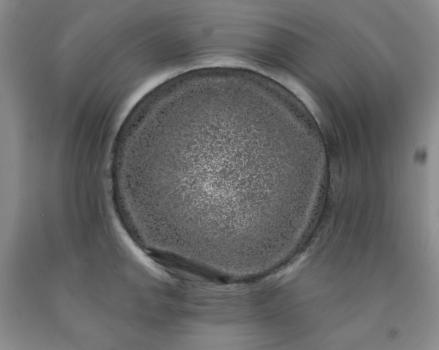 X0000091951142200709201317