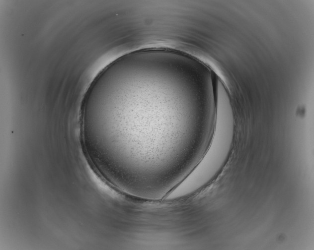 X0000091951143200709201317