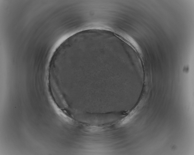 X0000091951144200709201317