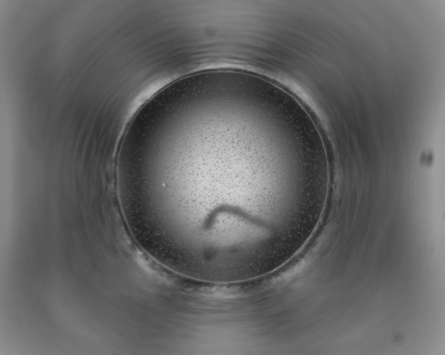 X0000091951145200709201317