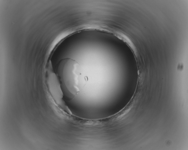 X0000091951146200709201317