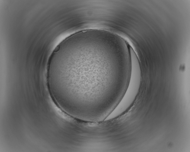 X0000091951147200709201317