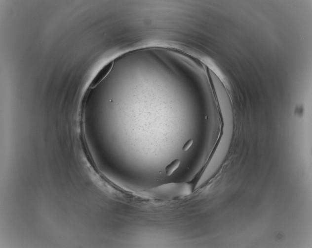 X0000091951148200709201317