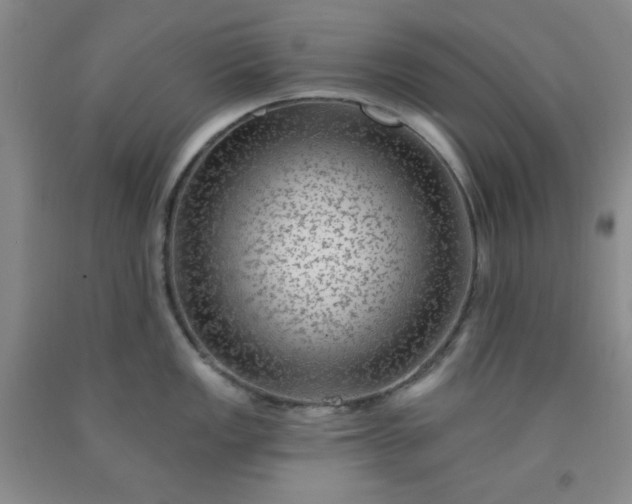 X0000091951149200709201317