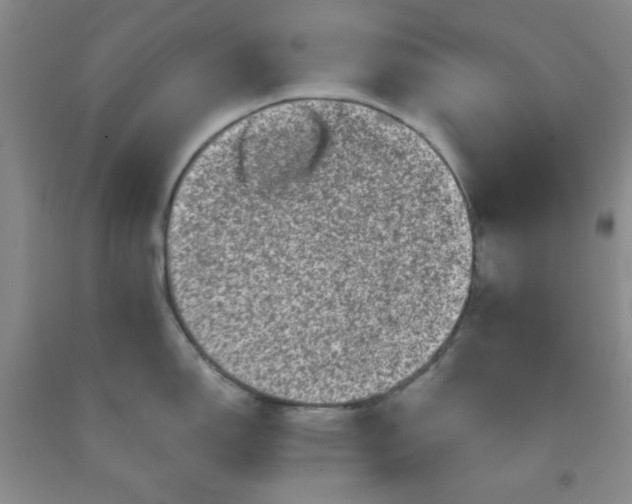 X0000091951150200709201317