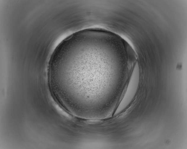 X0000091951151200709201317