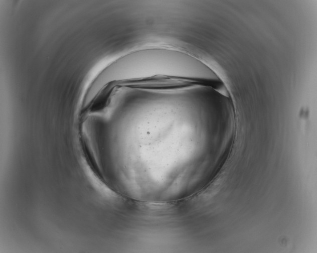 X0000091951152200709201317