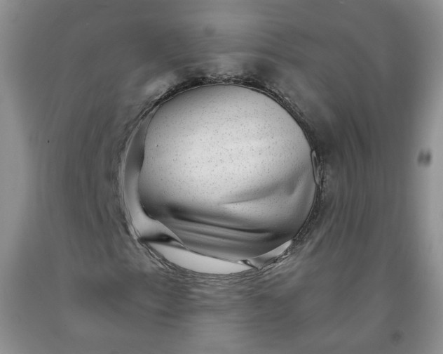 X0000091951153200709201317