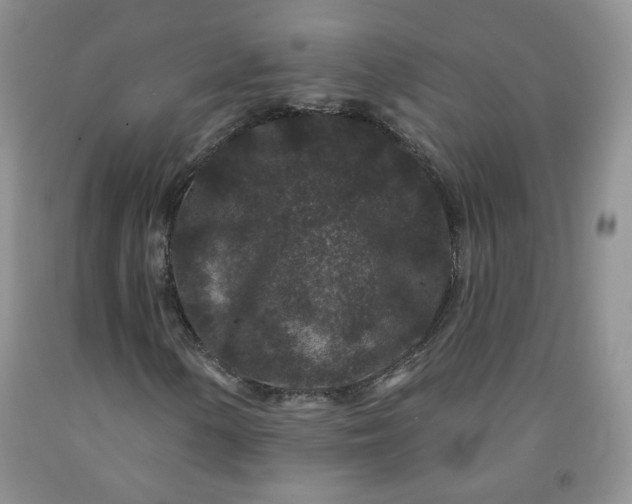 X0000091951154200709201317