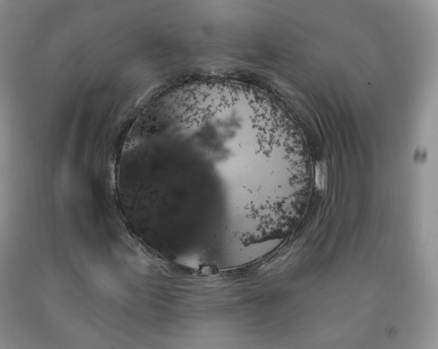 X0000091951155200709201317