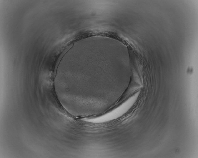 X0000091951156200709201317