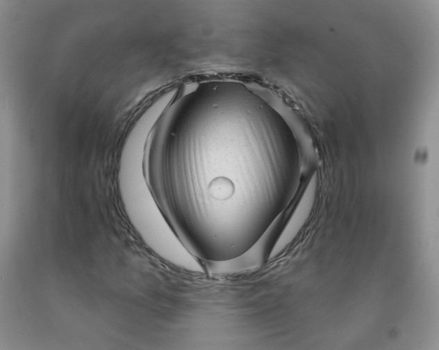 X0000091951157200709201317