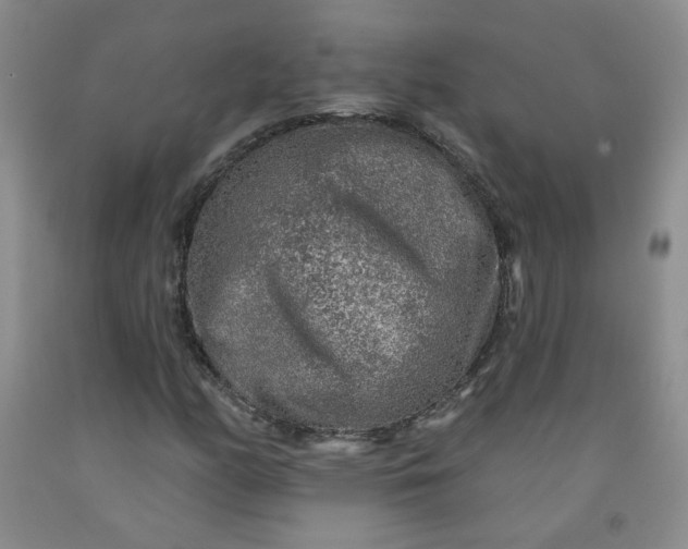 X0000091951158200709201317