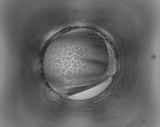 X0000091951160200709201317