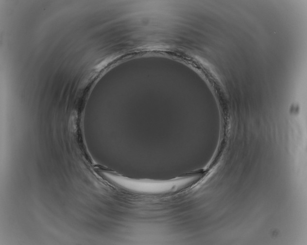 X0000091951161200709201317