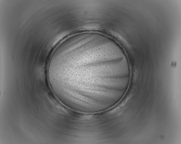 X0000091951162200709201317