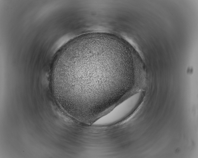 X0000091951163200709201317