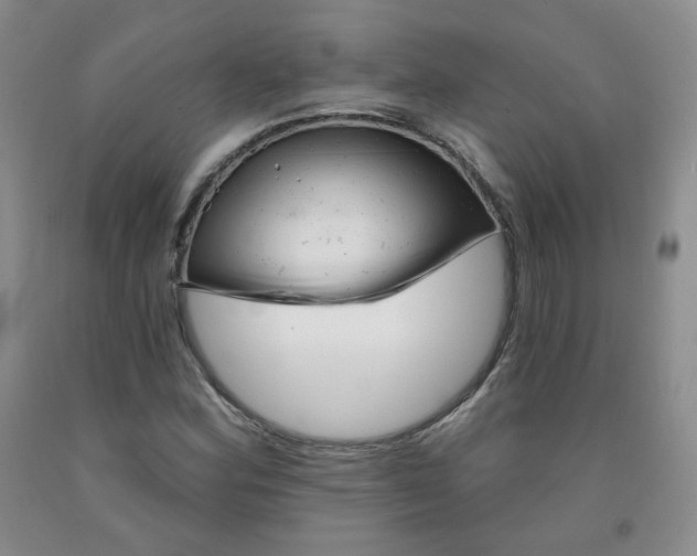 X0000091951164200709201317