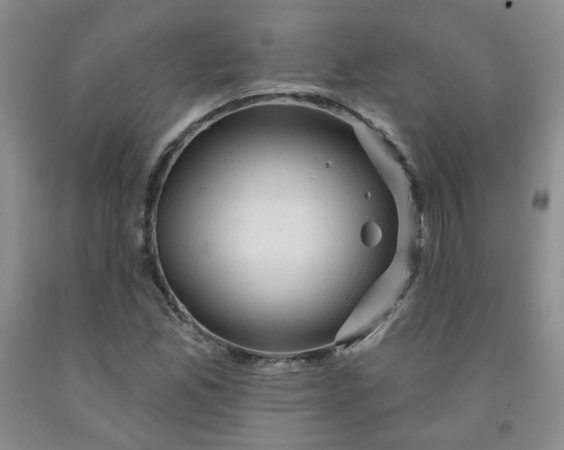 X0000091951165200709201317